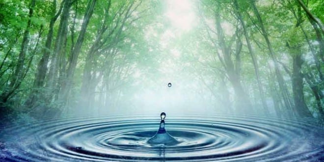 Sustainable Natural Resources Group Sustainable Natural Resources Group